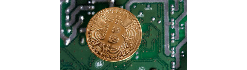 Биткойн цена предупреждение: Топ экономист говорит Биткойн может в конечном итоге, как Tulip Mania