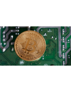 Биткойн цена предупреждение: Топ экономист говорит Биткойн может в конечном итоге, как Tulip Mania